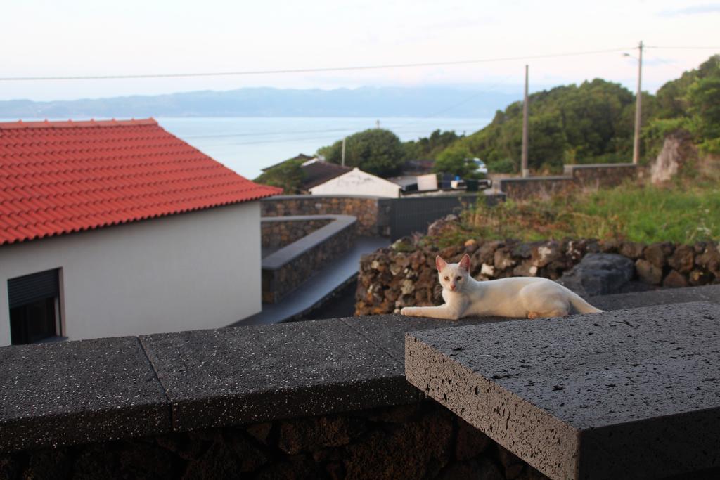 Vila Paim Santo Antonio  Esterno foto